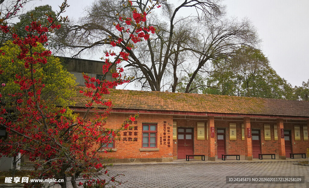 古雅建筑旁的绚烂红叶