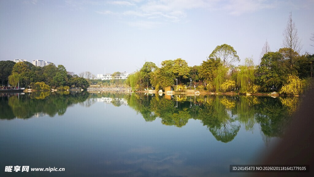 湖畔美景宁静自然之韵