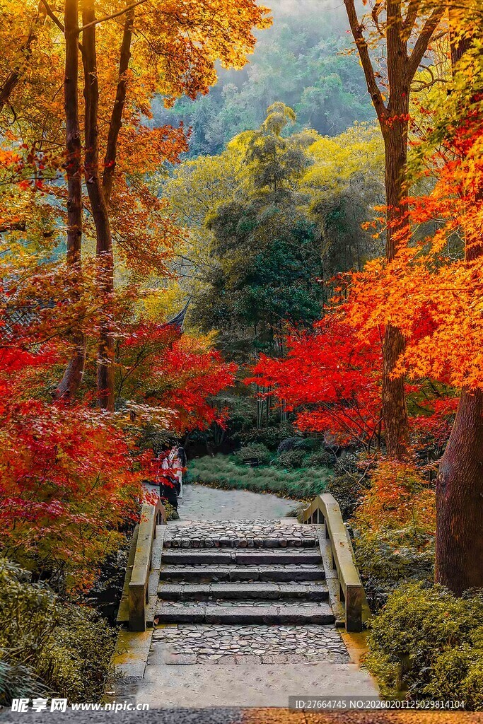 秋日山林中的漫步小径