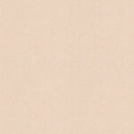 米色纹理背景图