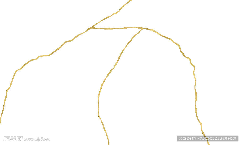 金色曲线线条抽象图案