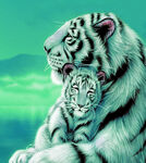 母虎与幼虎的温馨时刻