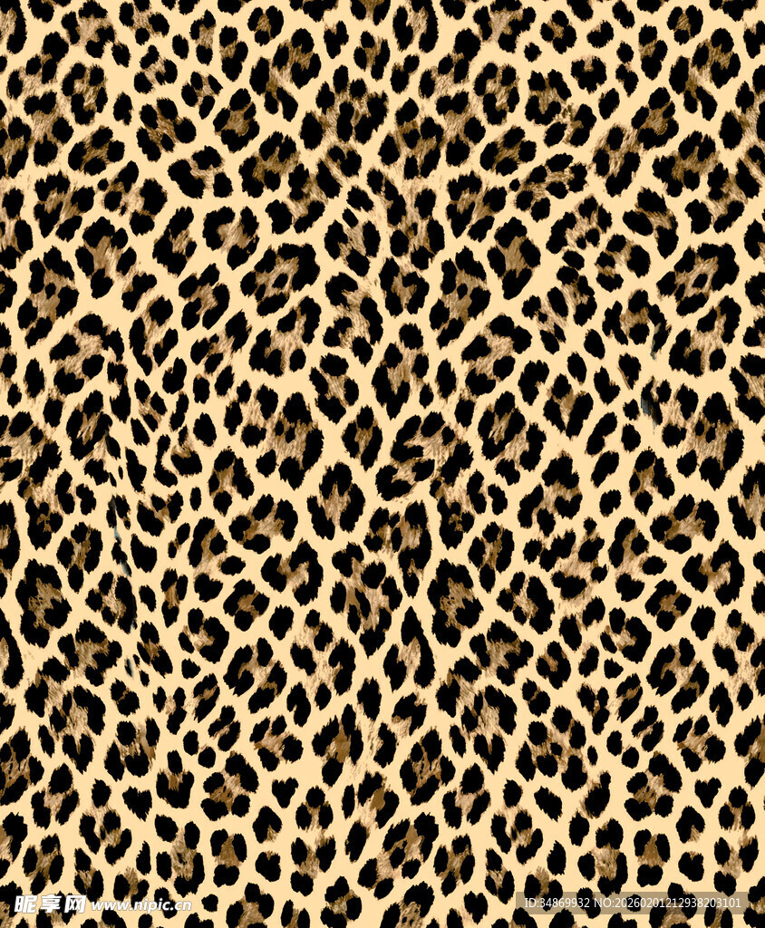 豹纹图案纹理