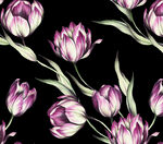 紫色郁金香花卉图案