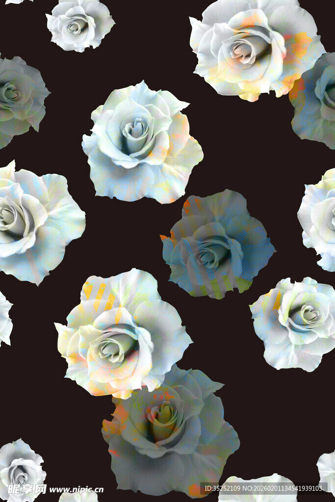 蓝玫瑰黑色背景花卉图案