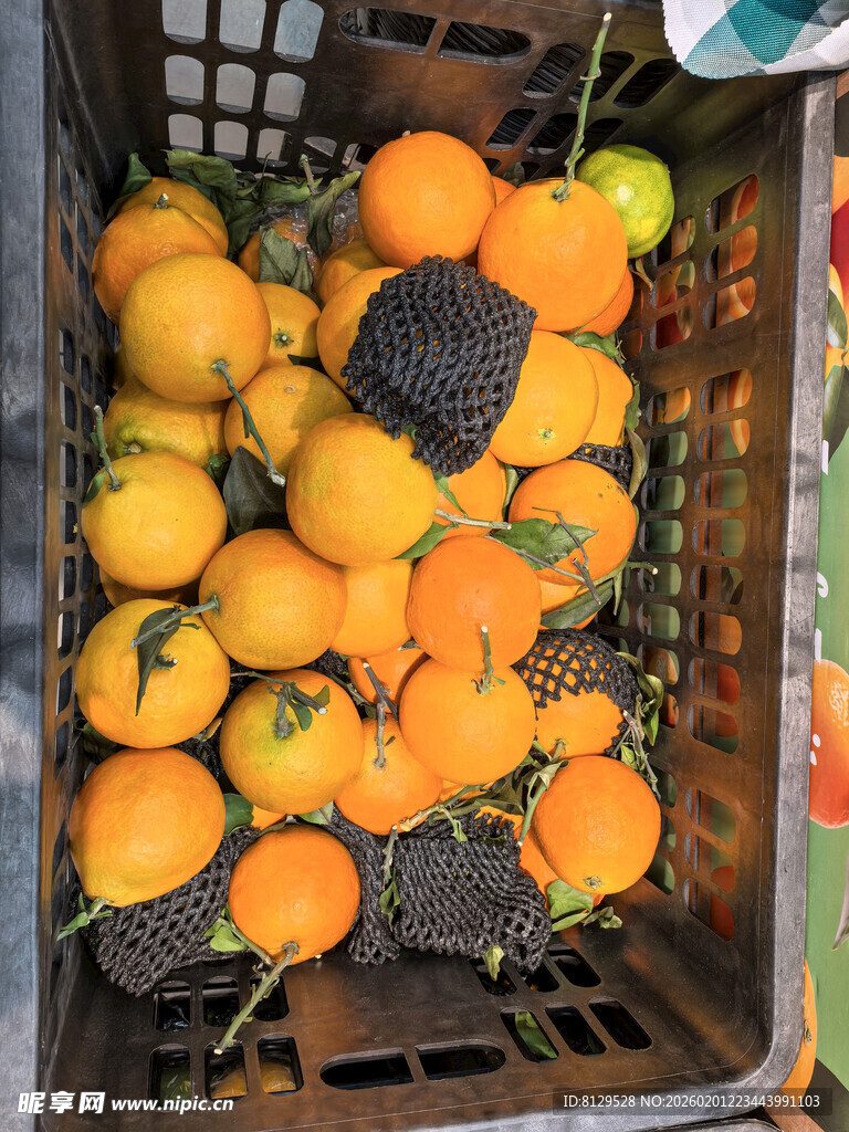 筐中多彩南瓜待售