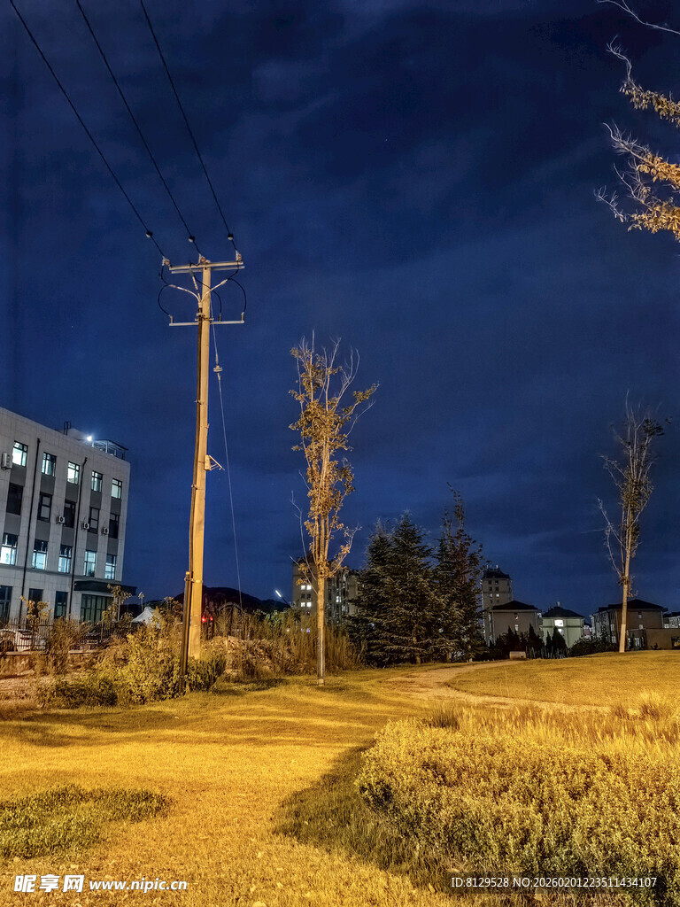 夜幕下的户外静谧场景