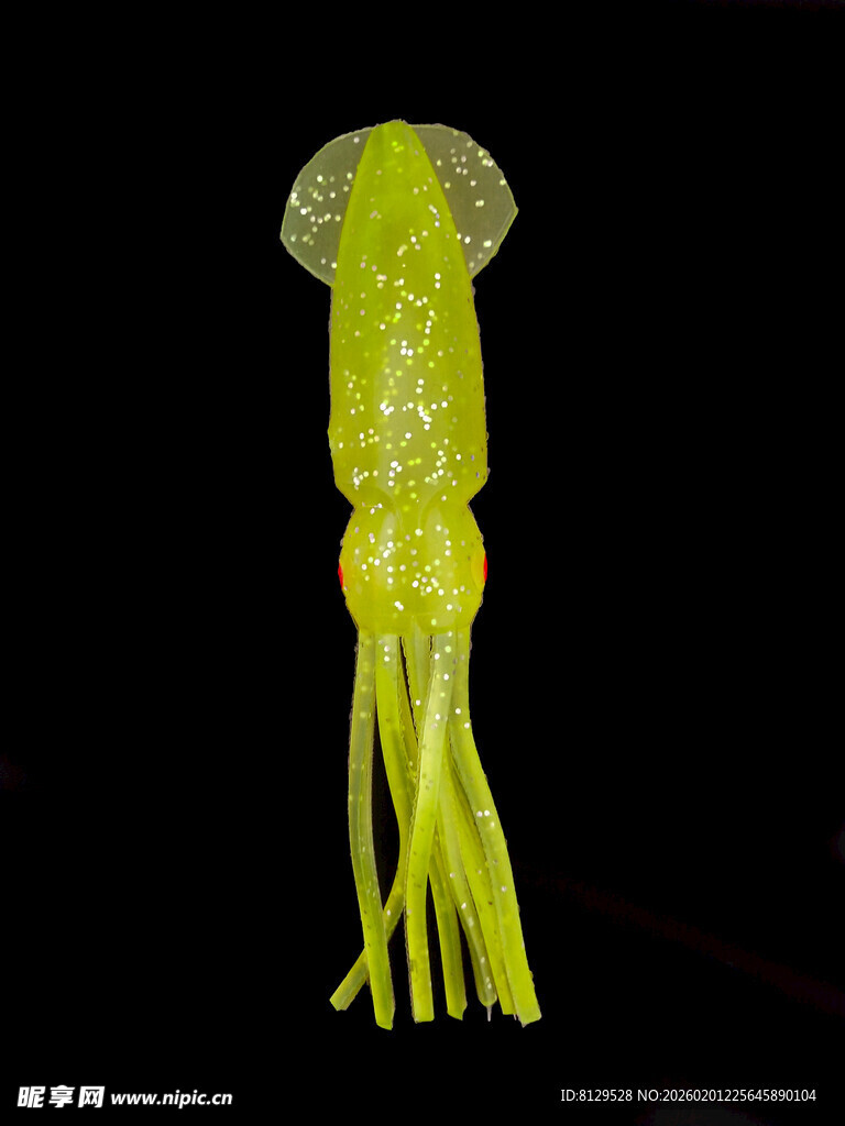 发光的黄色小鱿鱼