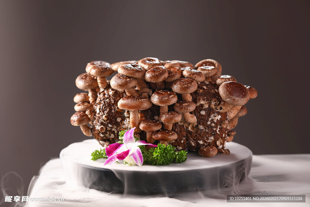 精美巧克力蘑菇造型甜点