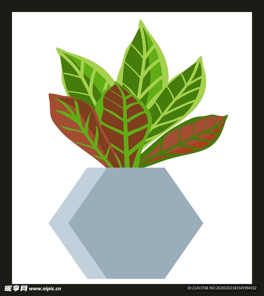 几何花盆中的多彩绿植