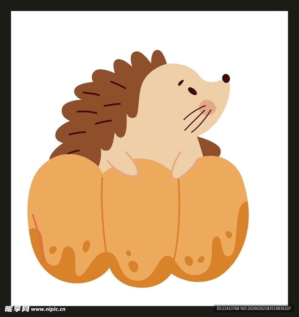 南瓜里的小刺猬