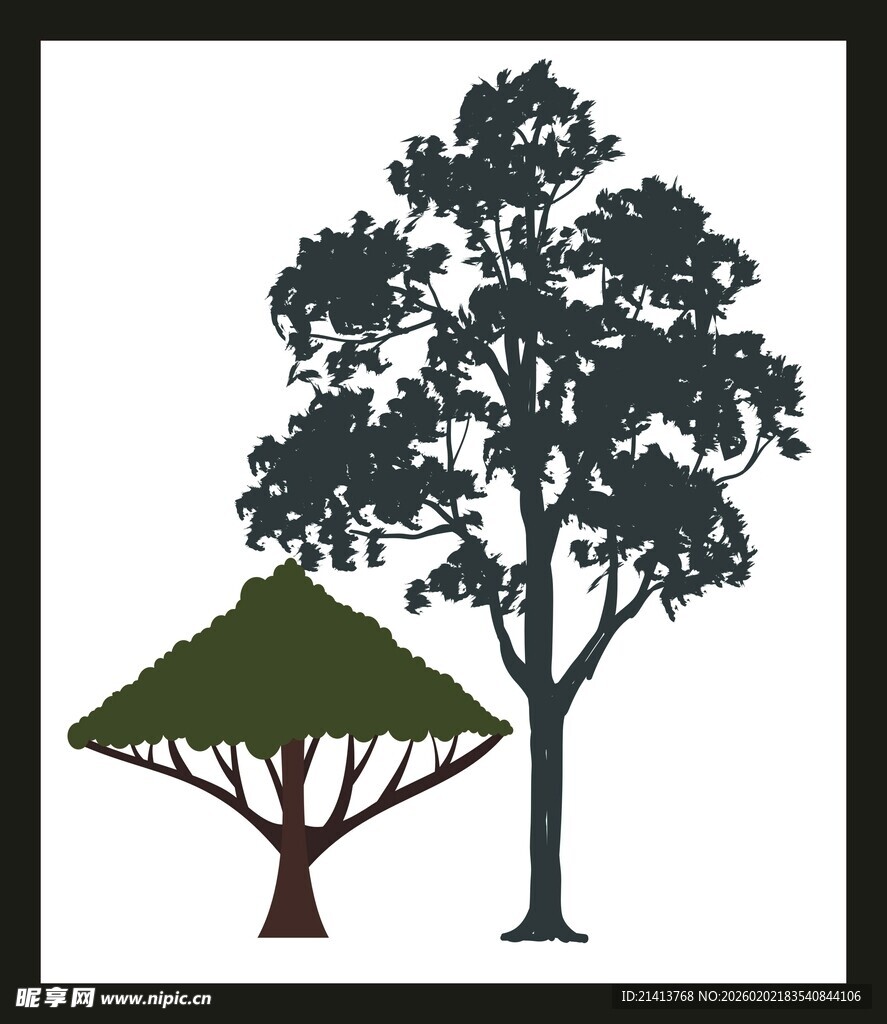 两棵形态各异的树木