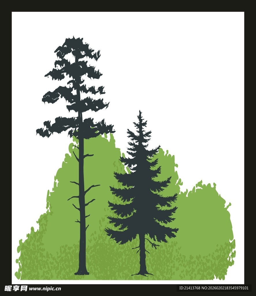 森林中的两棵挺拔树木