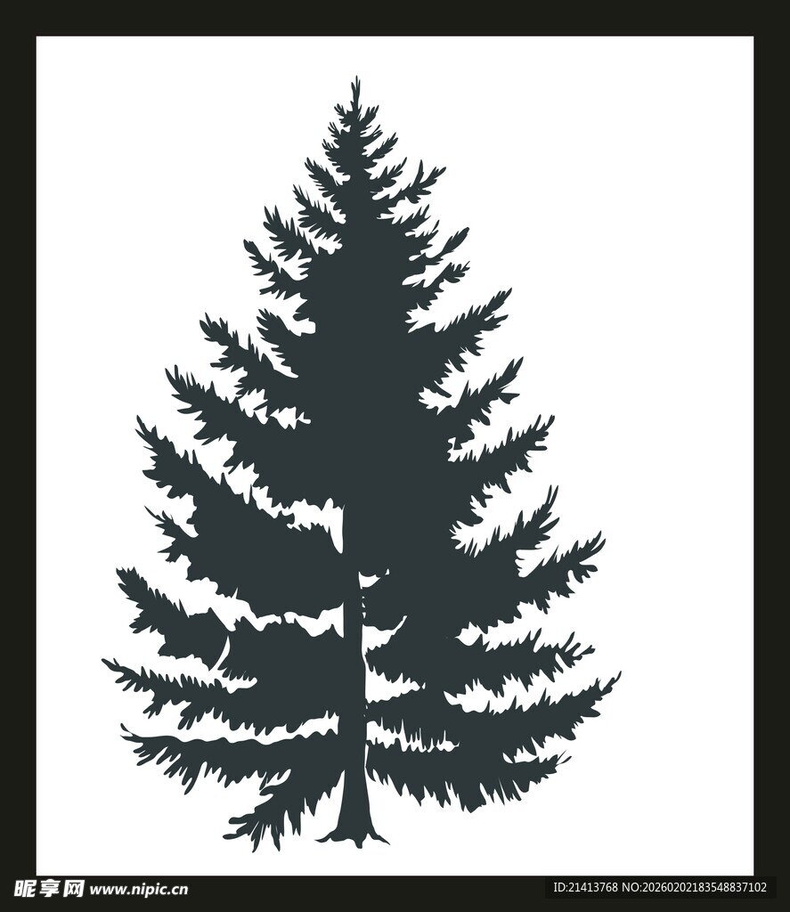 黑色轮廓的挺拔松树