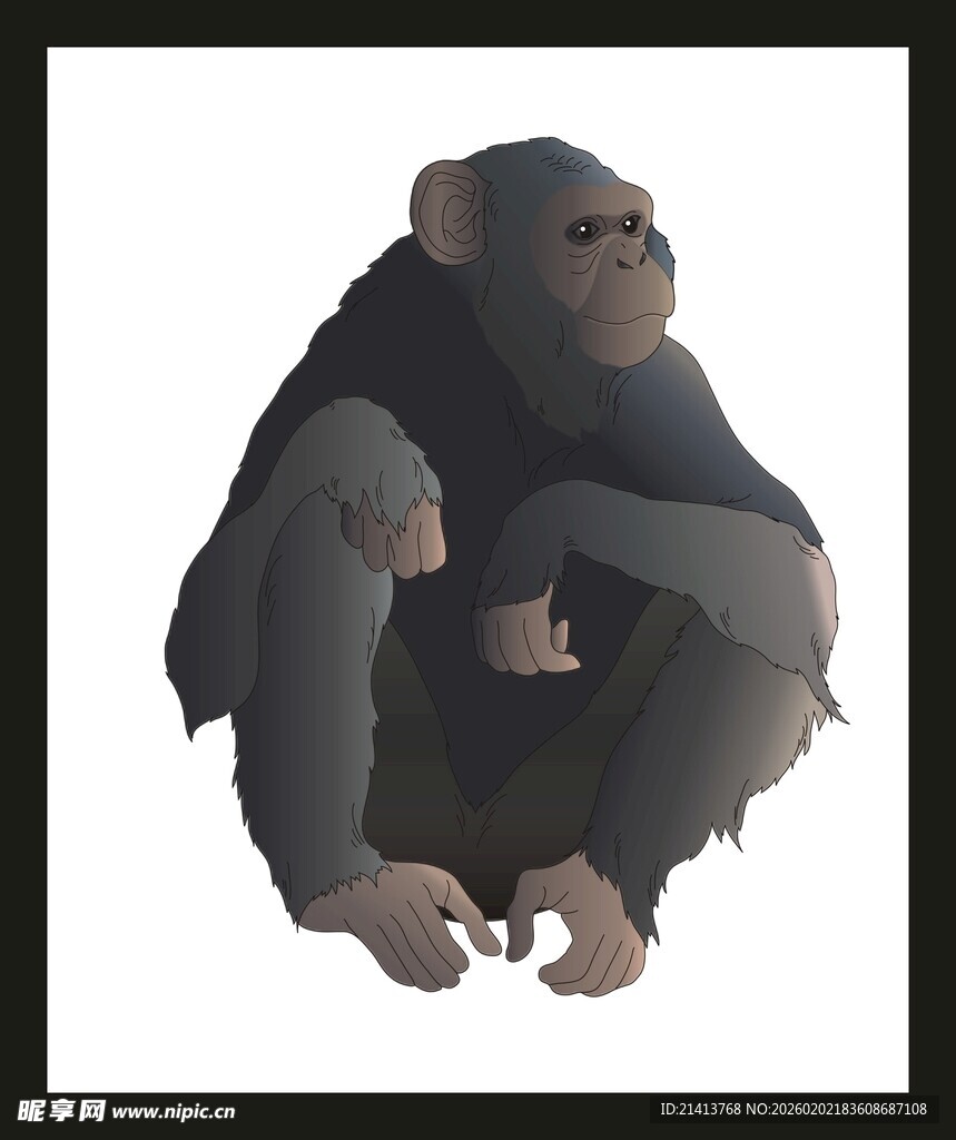 母猩猩与幼崽温馨时刻