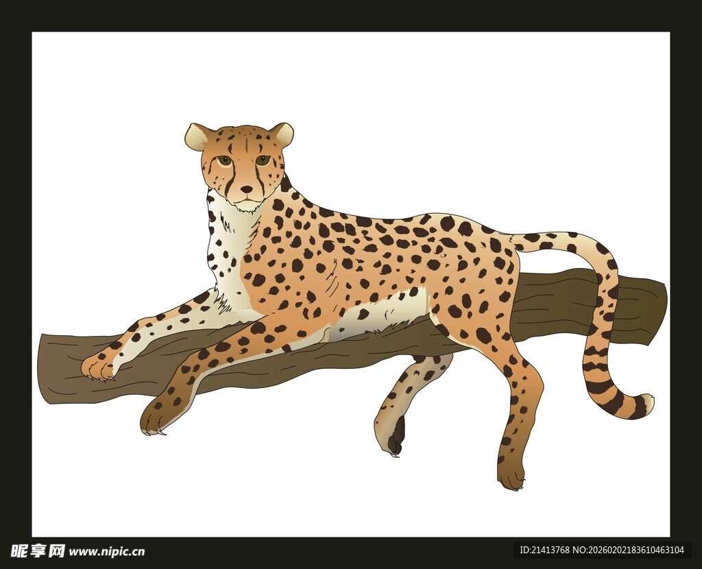 猎豹趴于树枝休憩