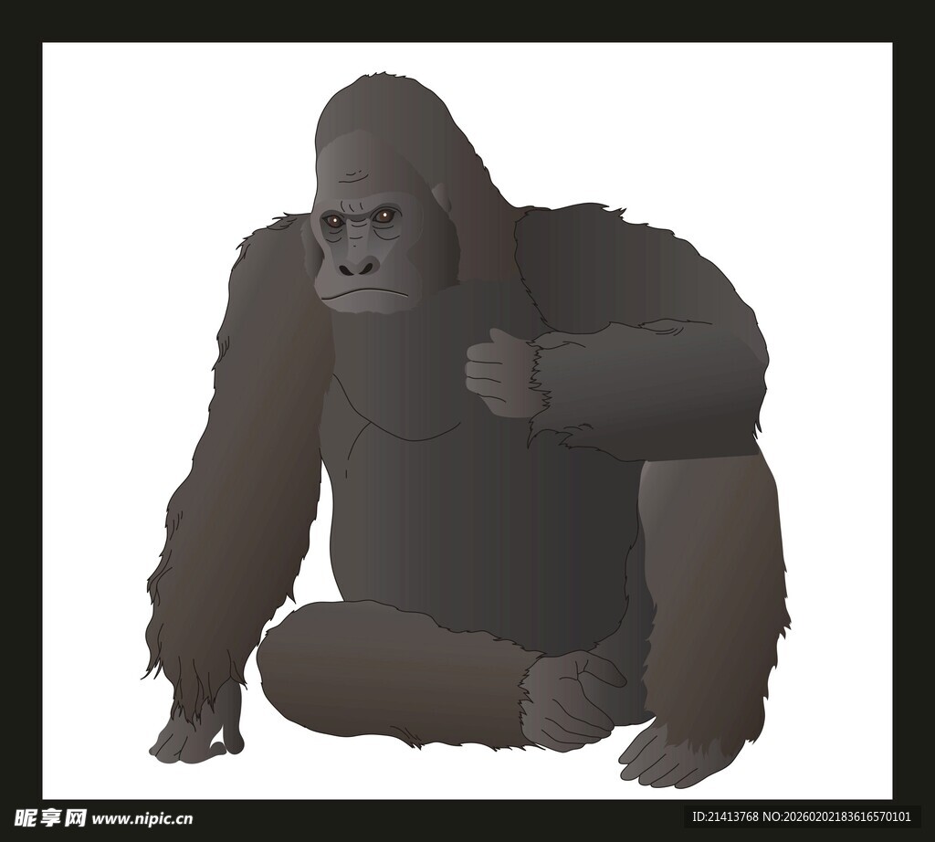 坐着的大猩猩插画