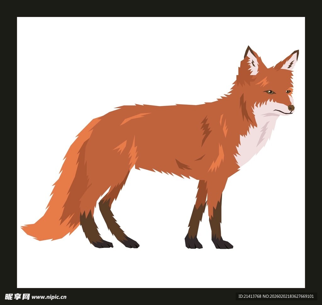 站立的红狐狸插画