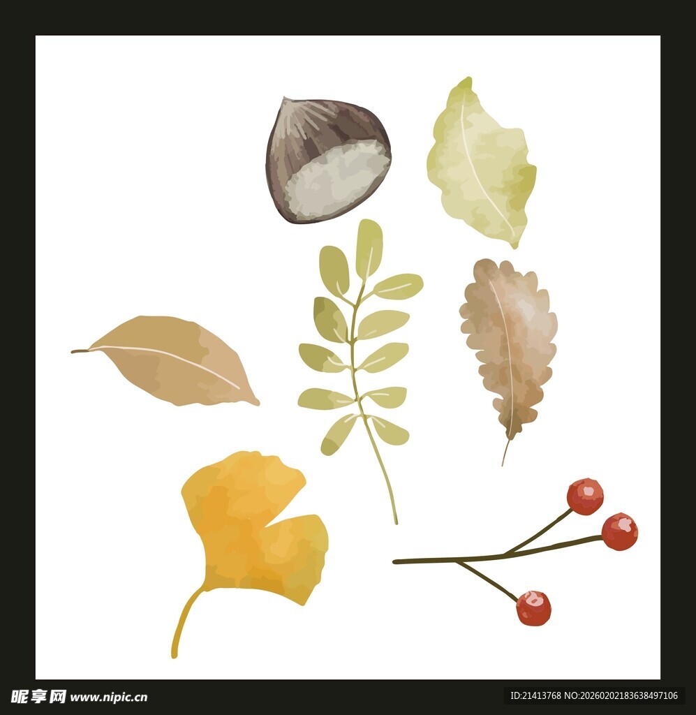 秋日植物标本组合