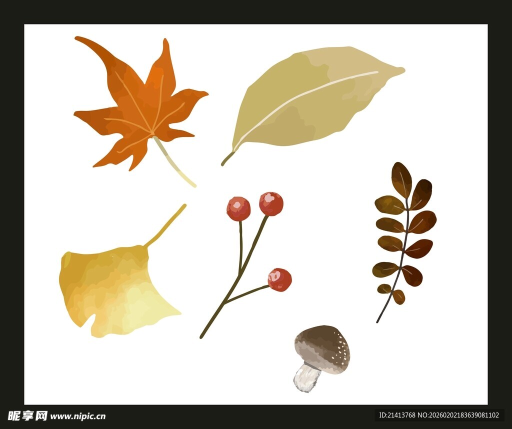 秋季多彩植物标本集合