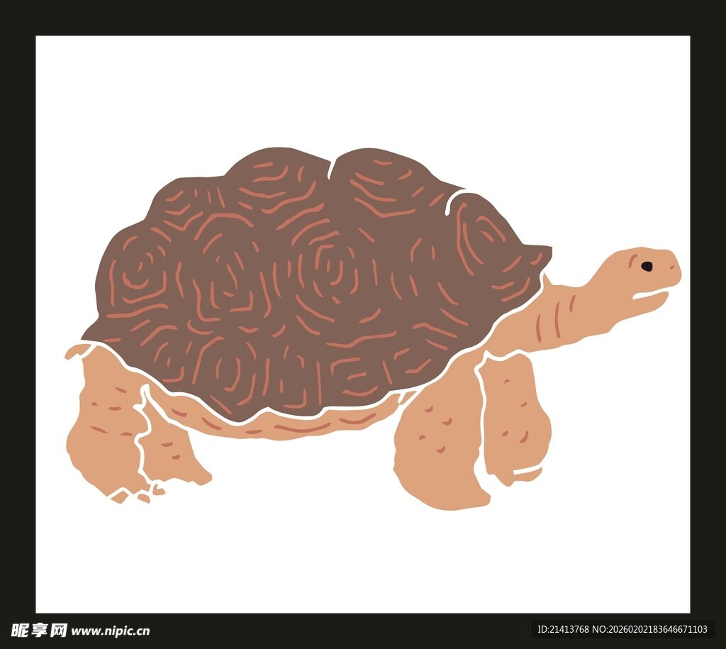 卡通风格的棕色乌龟形象