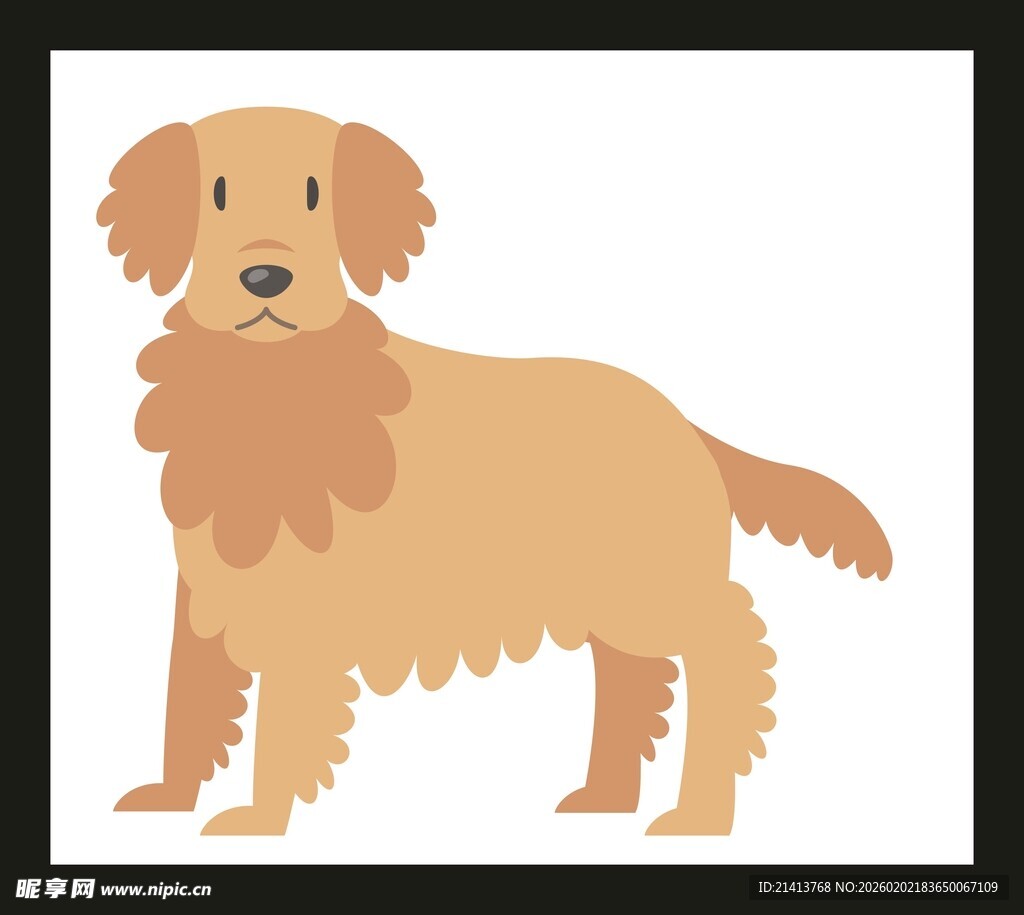 站立的金毛犬插画