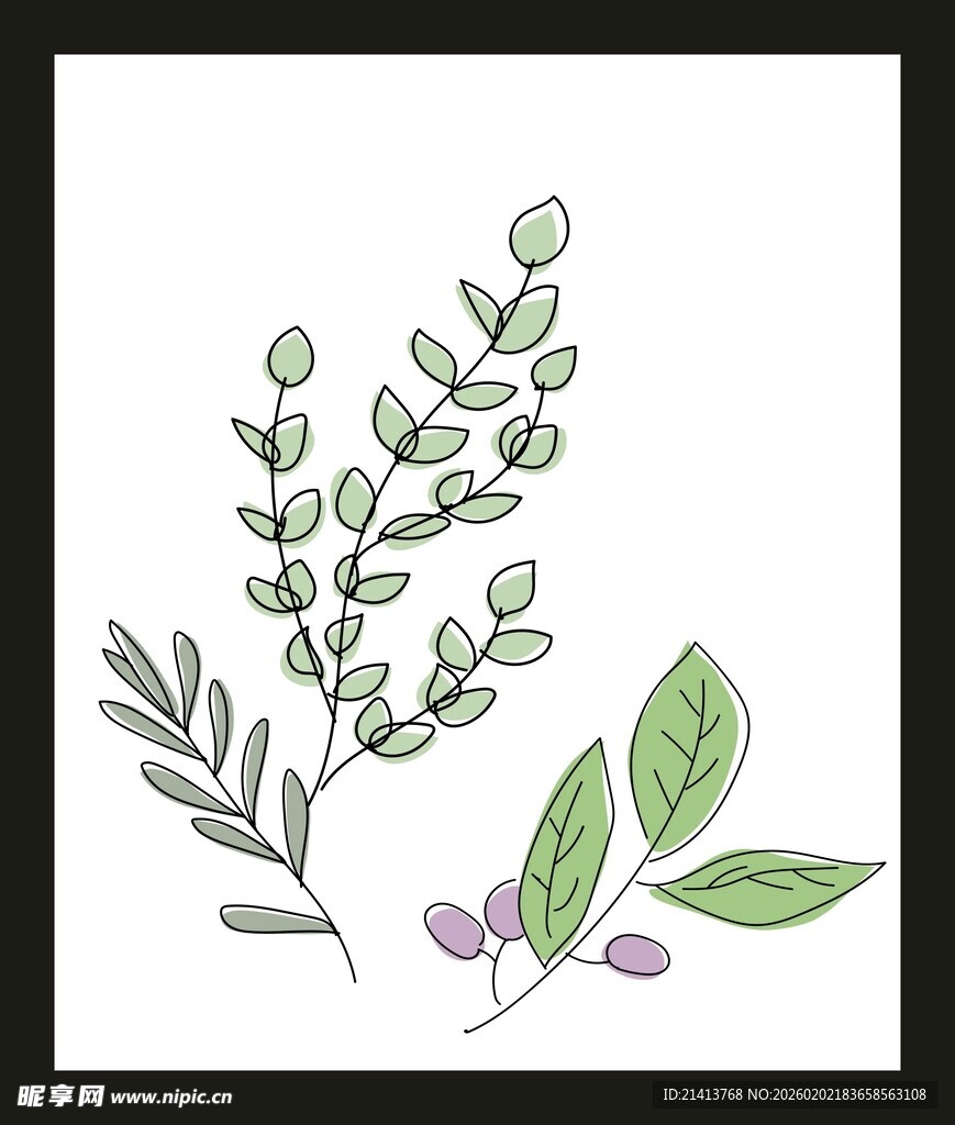 手绘清新植物枝叶插画