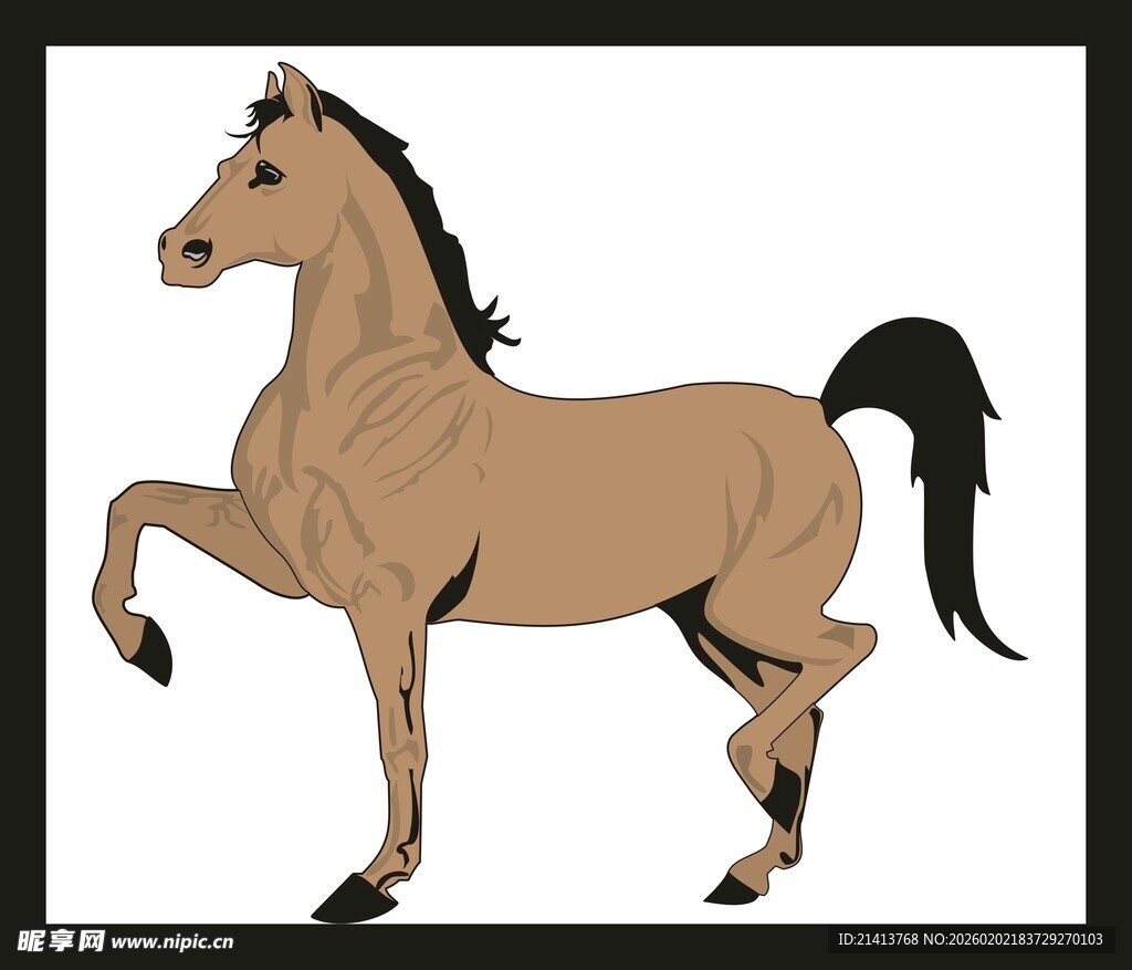 站立的棕色骏马