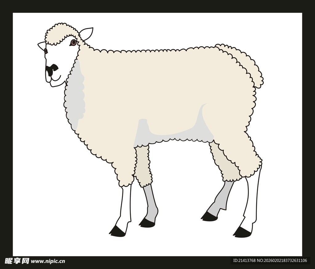 站立的绵羊插画