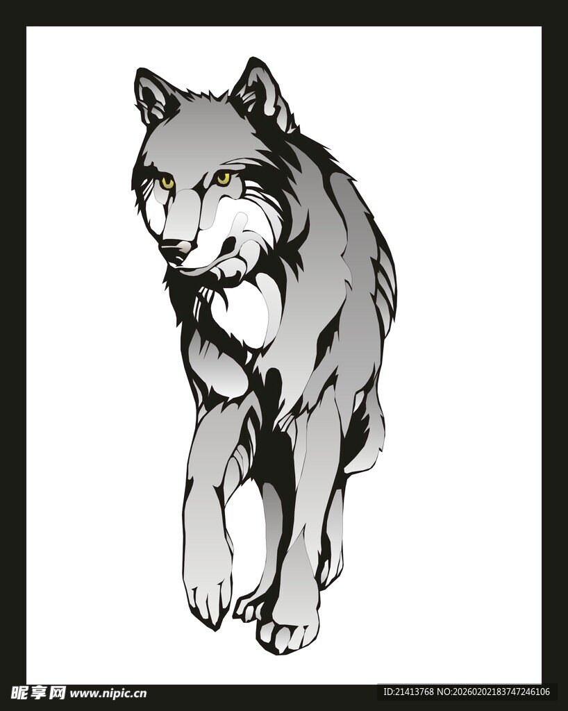 黑白风格独行狼插画