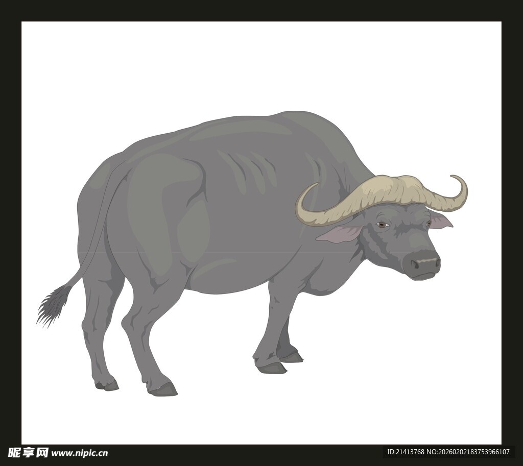 站立的灰水牛