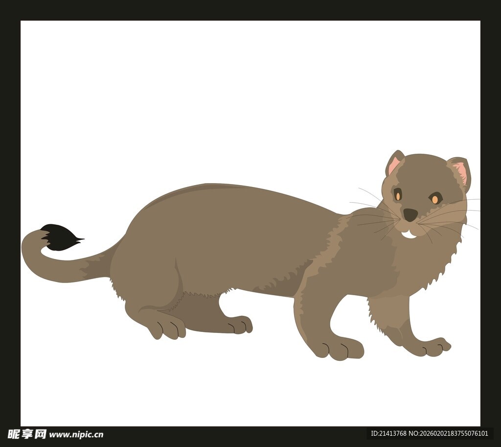 站立的棕色鼬鼠插画