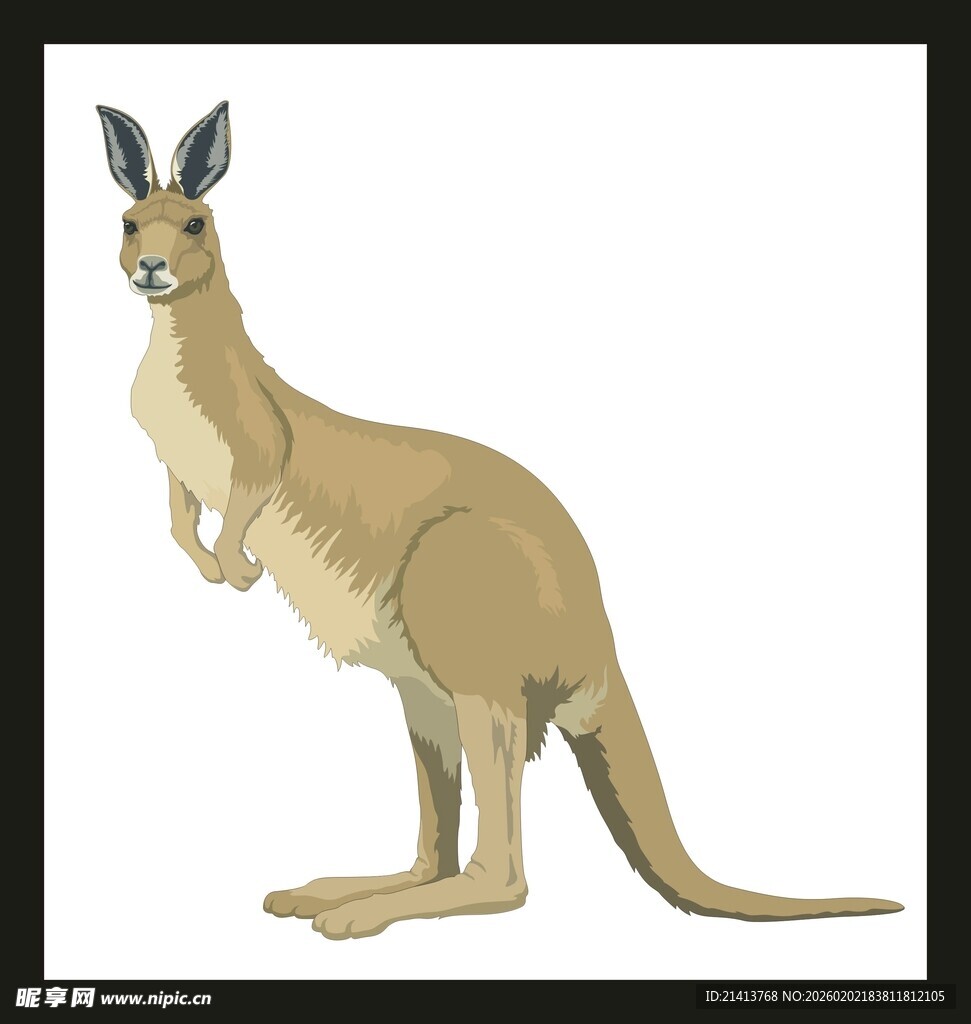 站立的袋鼠形象