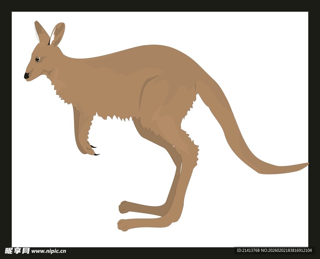 站立的袋鼠形象