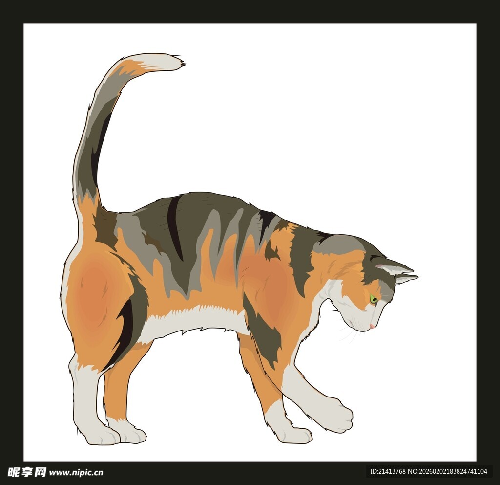 行走的三色花纹猫咪