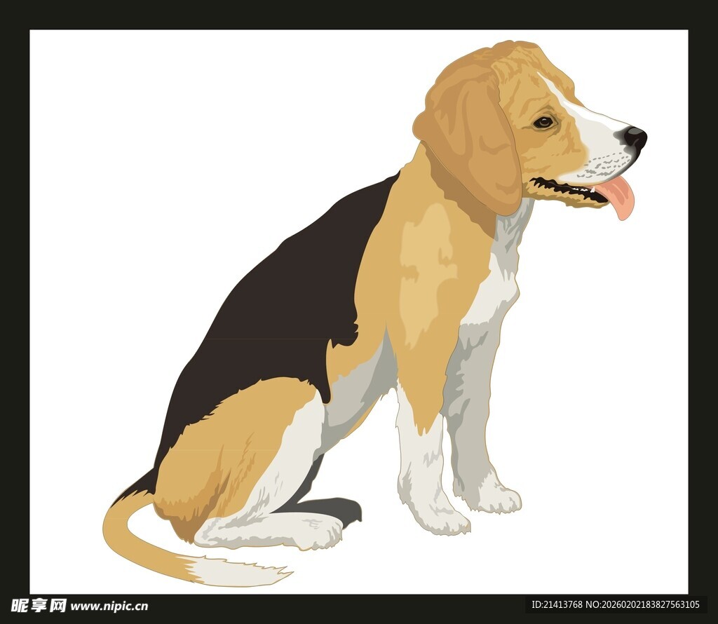 坐着的三色小猎犬