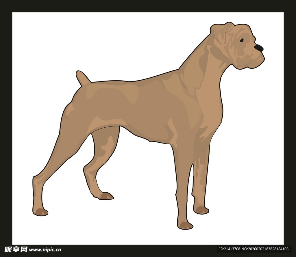 站立的棕色犬只