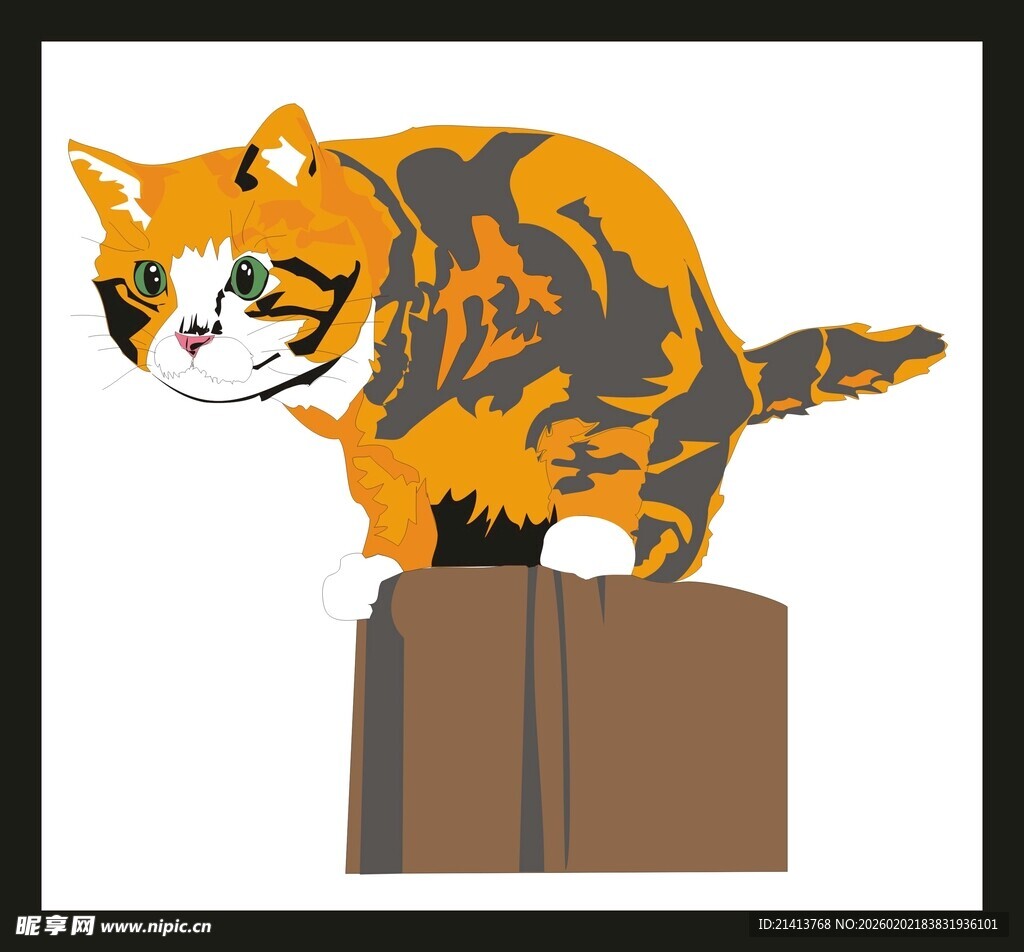 猫咪立于书本之上