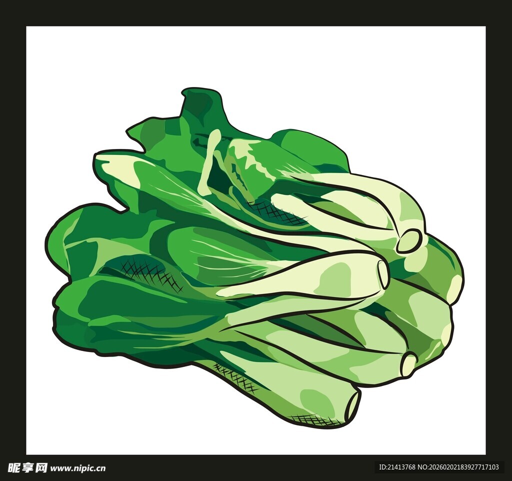 卡通青菜插画