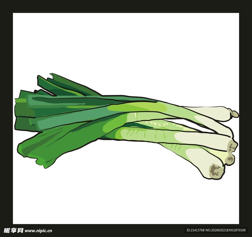 新鲜大葱插画