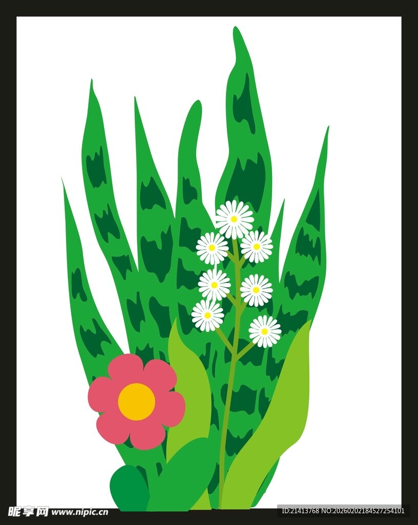 花卉绿植插画