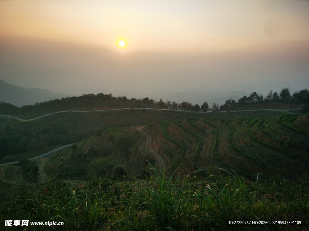 夕阳下的山间茶园美景
