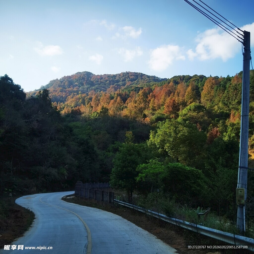 蜿蜒山路旁的多彩山林
