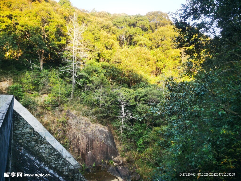 山林间的观景栈道