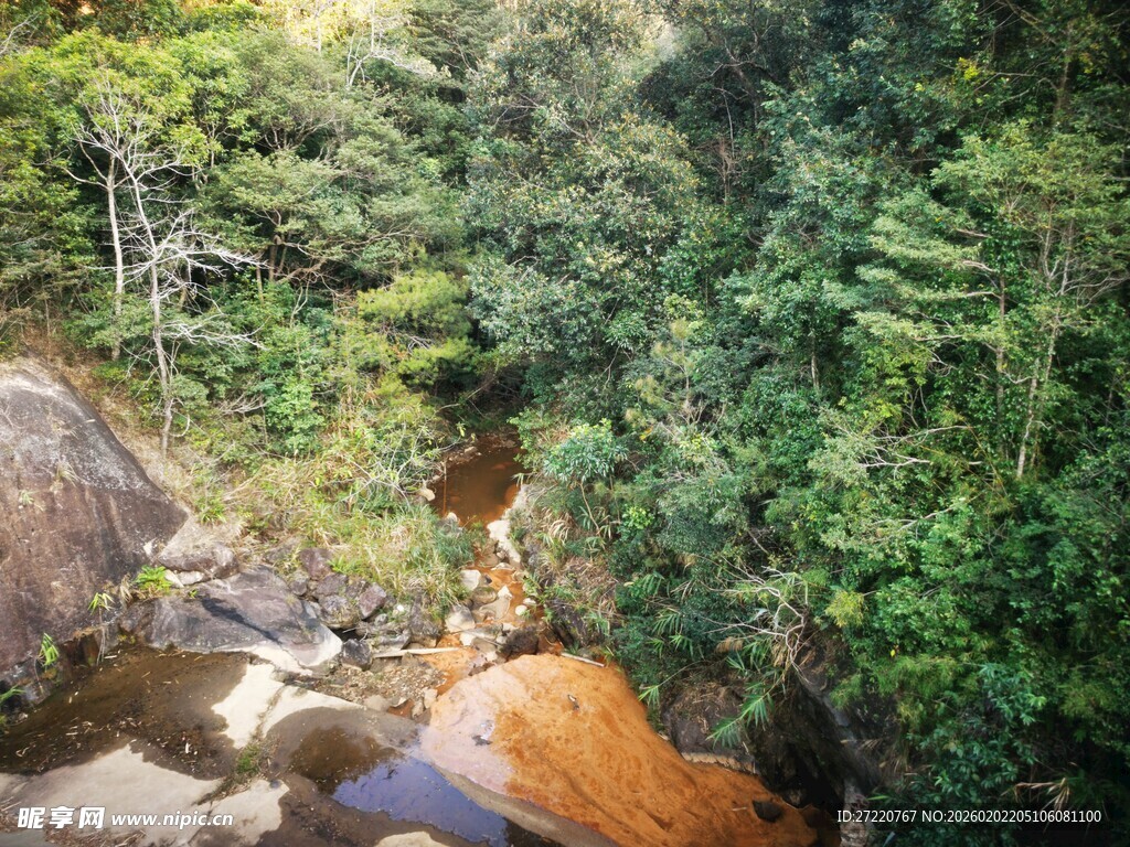 山间溪流旁的繁茂绿意