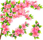 粉色烂漫樱花花枝图案