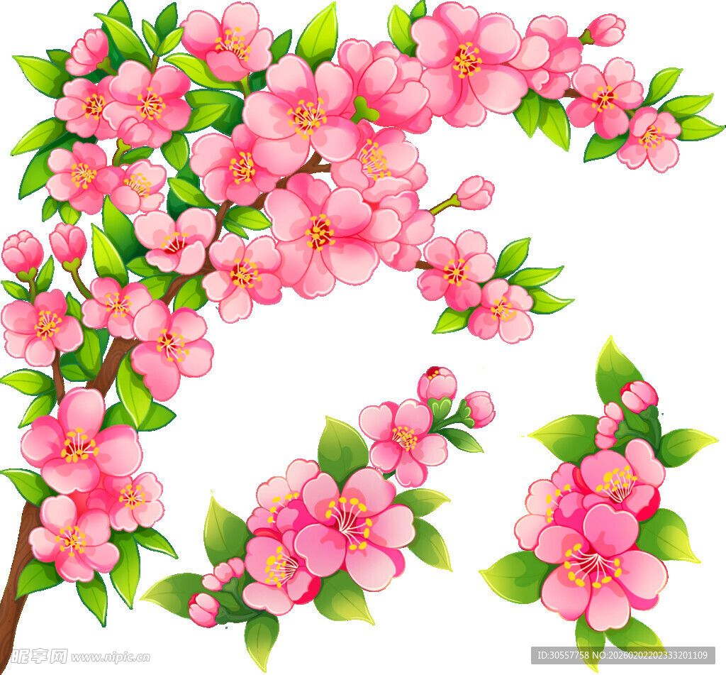 粉色烂漫樱花花枝图案