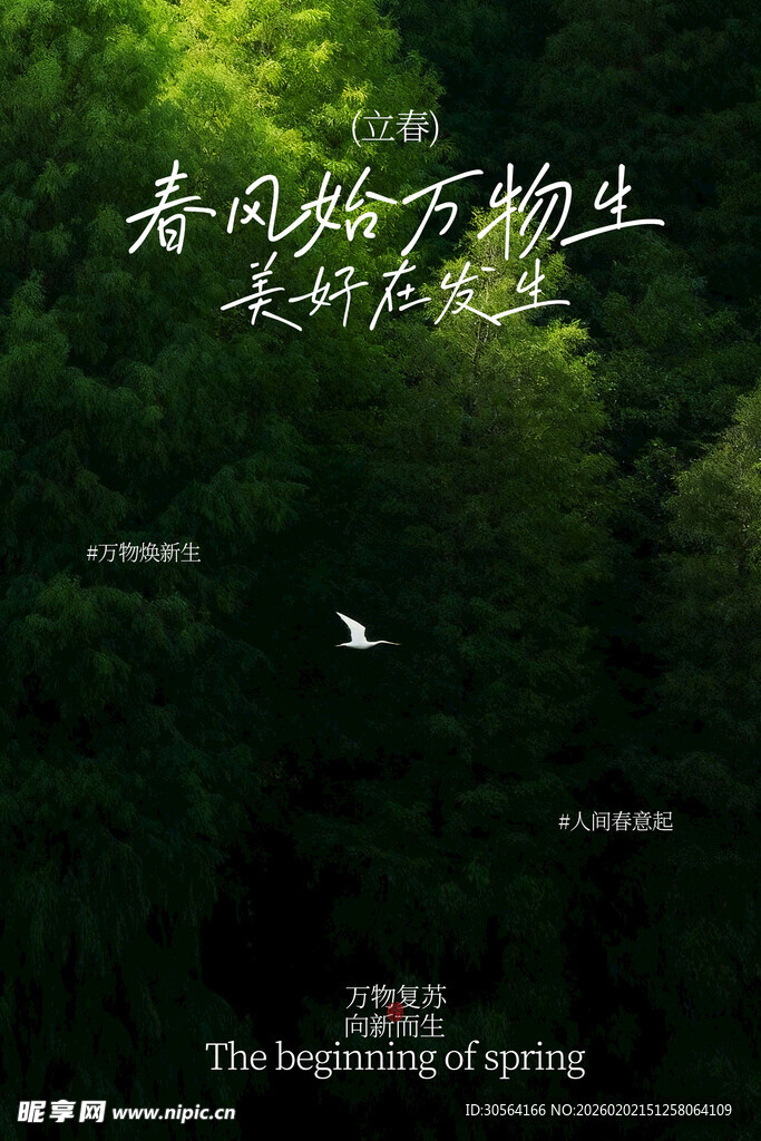 春日山林万物生长立春海报