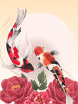 锦鲤牡丹插画