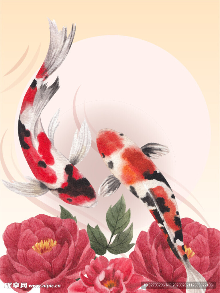 锦鲤牡丹插画